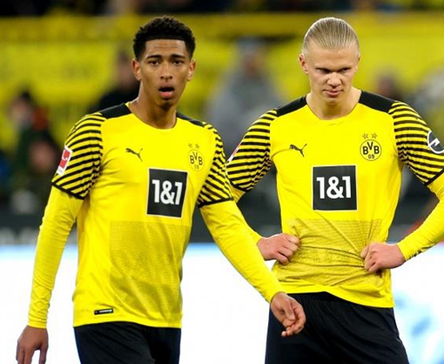 但真正称得 但真正称得